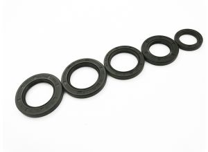 Lambretta Engine oil seal kit (set of 5) Viton, Race-Tour MB